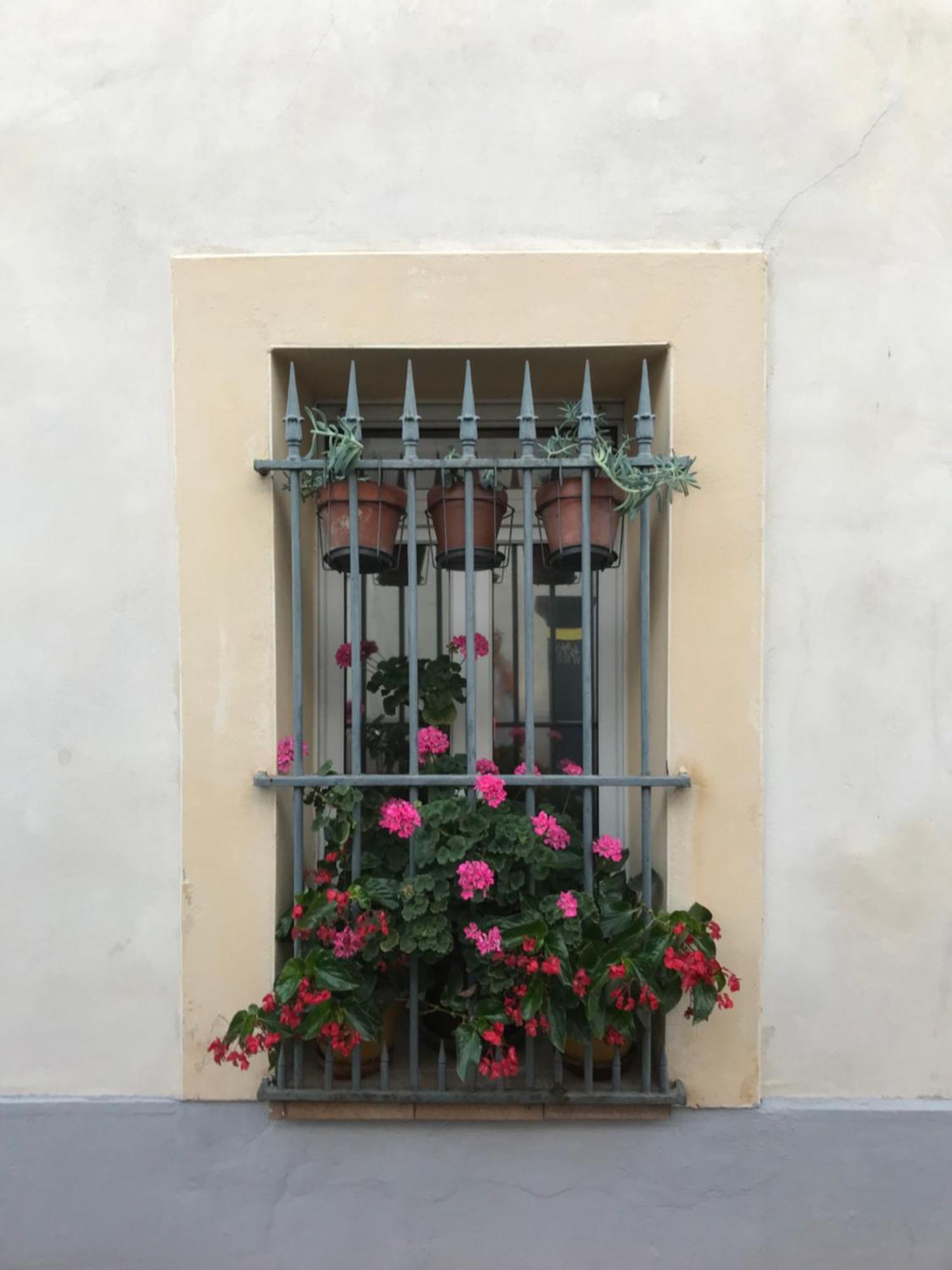 Chambre Japonaise Montpellier Exterior foto